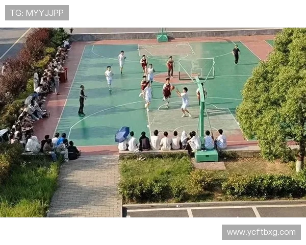 青春竞技展风采奋勇拼搏谱写精彩赛场华章